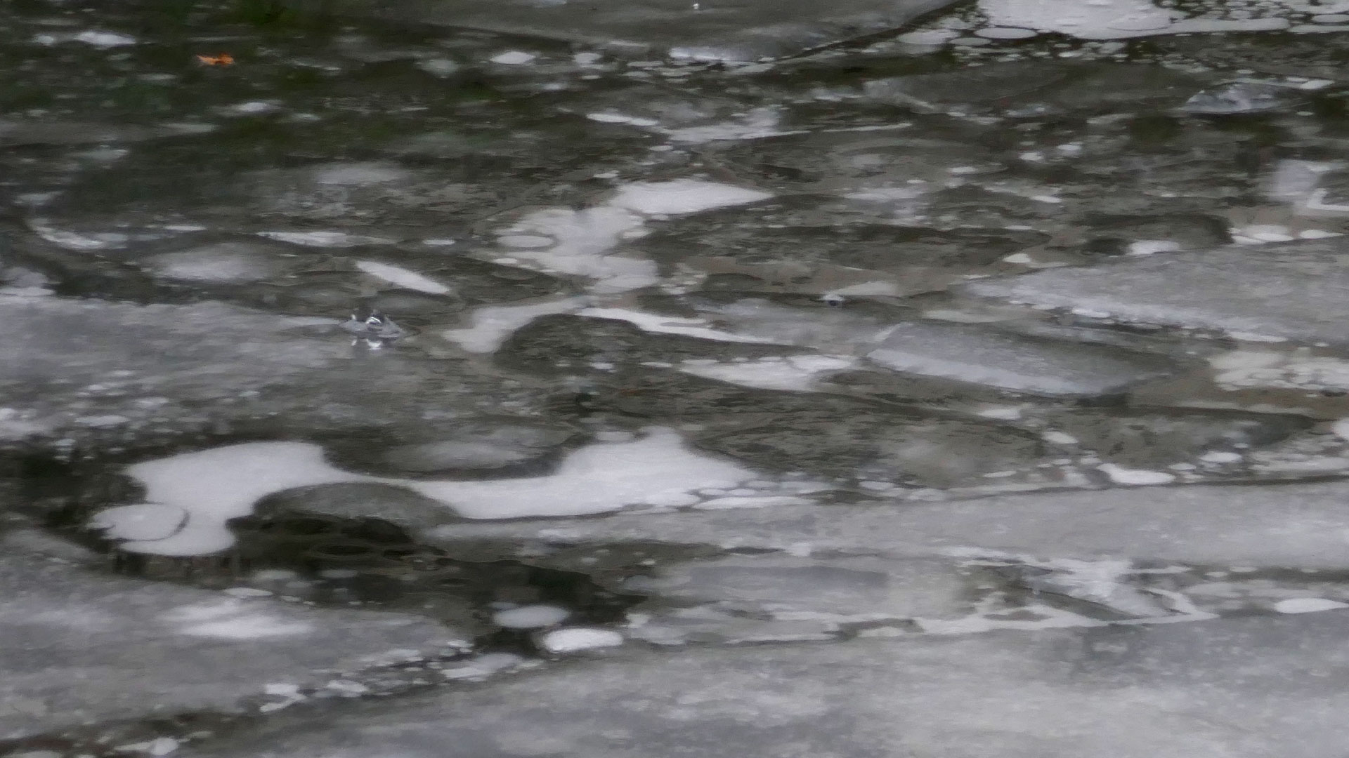 2024-01-22 Schneeschmelze (Audio)